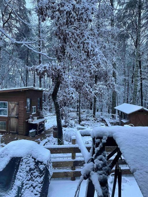 Beautiful & Peaceful Cabin W/ Deck Garden & Fire-Pit Мерфи Экстерьер фото