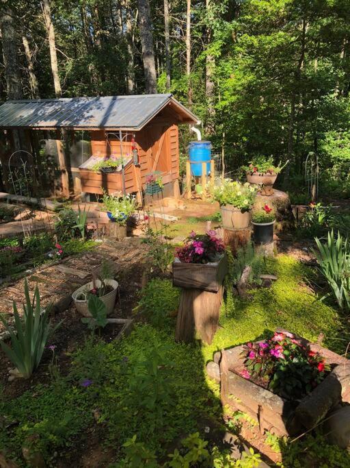 Beautiful & Peaceful Cabin W/ Deck Garden & Fire-Pit Мерфи Экстерьер фото